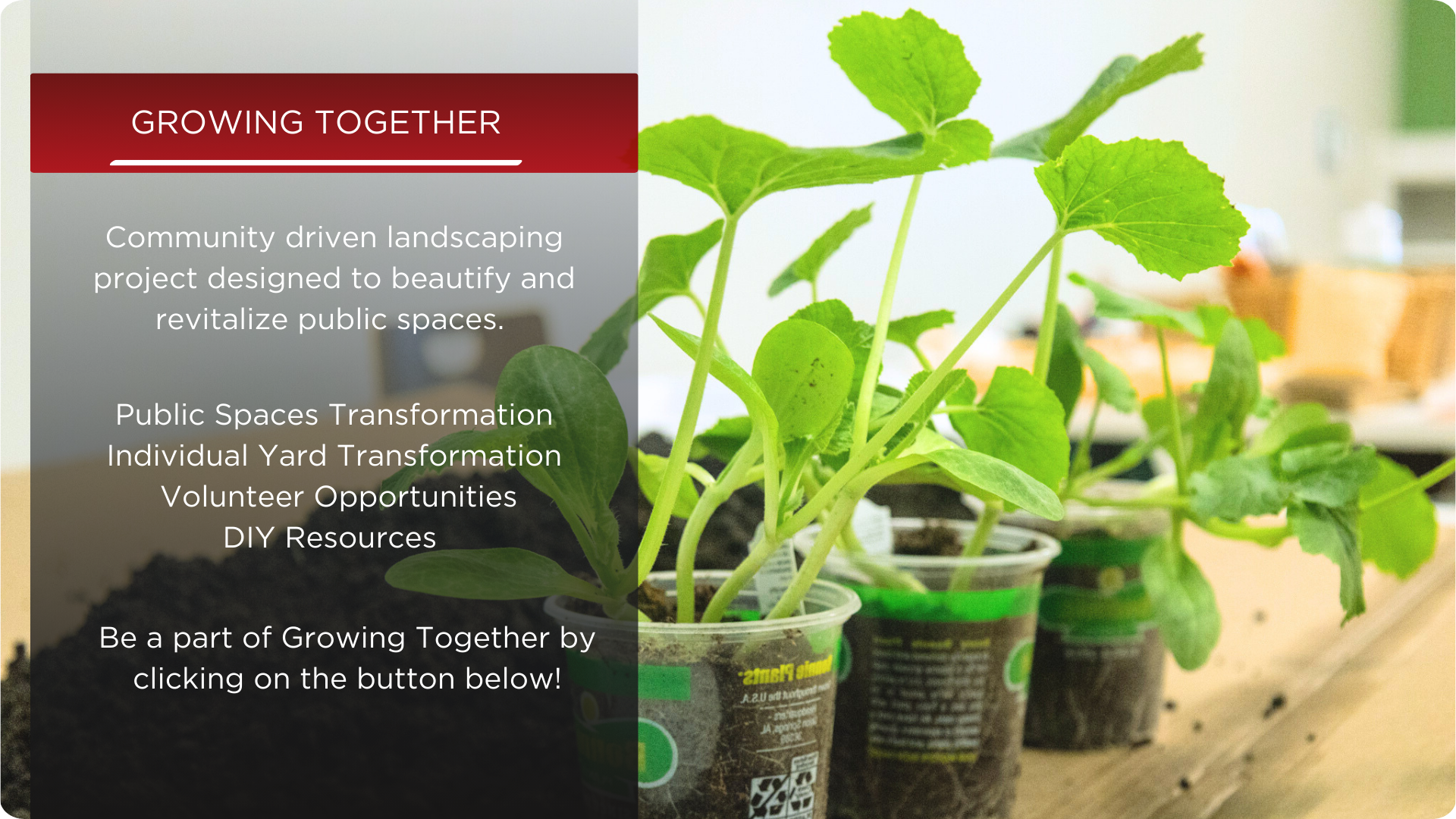 GrowingTogetherProject.png