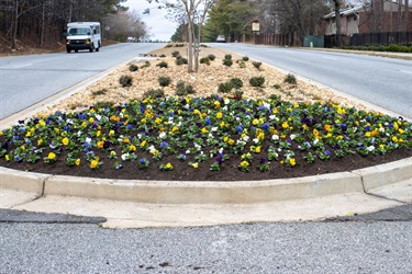 Shannon-Parkway_Florals.jpg